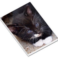 Kitty In A Corner Large Memo Pads