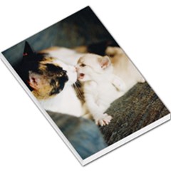 Calico Cat And White Kitty Large Memo Pads
