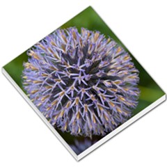Globe Mallow Flower Small Memo Pads