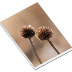Withered Globe Thistle In Autumn Macro Large Memo Pads