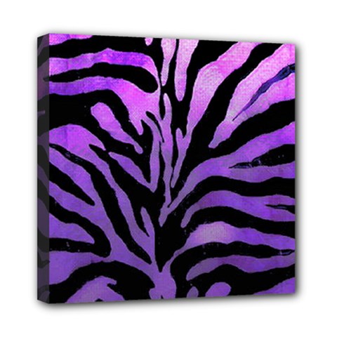 Z¨|brer Mini Canvas 8  X 8  (stretched)