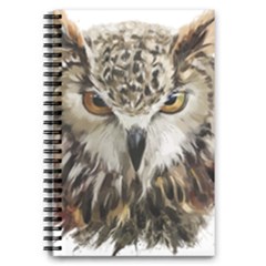 Vector Hand Painted Owl 5 5  X 8 5  Notebook