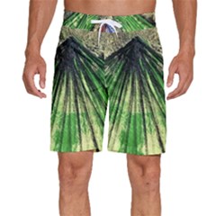 Acrylic Abstract Art Design  Men s Beach Shorts