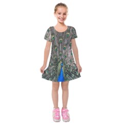 Peacock-feathers1 Kids  Short Sleeve Velvet Dress