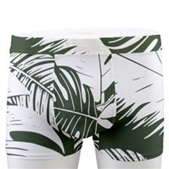 Abstract Art Tropical Leaves Men s Boxer Briefs