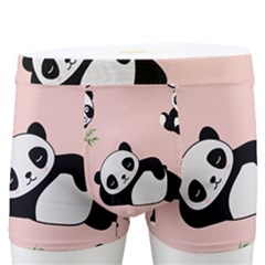Cute Panda Animal Pattern Men s Boxer Briefs