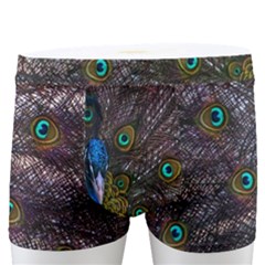 Bird Peacock Feathers Men s Boxer Briefs