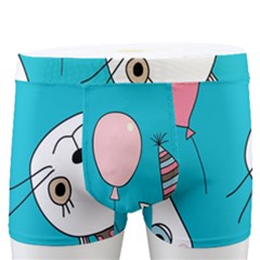 Birtay Cats Bunnies, Koteto Men s Boxer Briefs