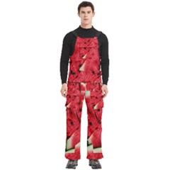 Watermelon, Fruit, Green, Red Men s Side Zip Front Pouch Ski And Snowboard Bib Pants	