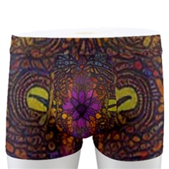 Mid Century Retro Floral 1970s 1960s Pattern 67 Men s Boxer Briefs