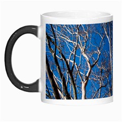 Trees On Blue Sky Morph Mug