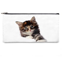 Curious Kitty Pencil Case