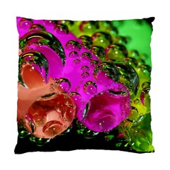 Tubules Cushion Case (single Sided) 