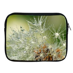 Dandelion Apple Ipad 2/3/4 Zipper Case