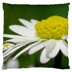 Daisy With Drops Large Cushion Case (single Sided) 