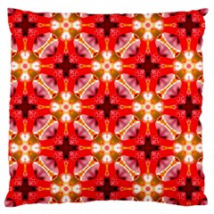 Cute Pretty Elegant Pattern Large Cushion Case (single Sided) 