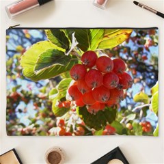 Rowan Cosmetic Bag (xxxl) 