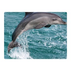 Dolphin Double Sided Flano Blanket (mini) 
