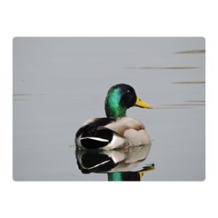 Swimming Duck Double Sided Flano Blanket (mini) 