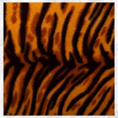 Animal Background Cat Cheetah Coat Canvas 20  X 20  