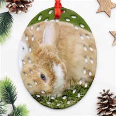 Beautiful Blue Eyed Bunny On Green Grass Ornament (oval Filigree)