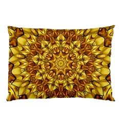 Abstract Antique Art Background Pillow Case