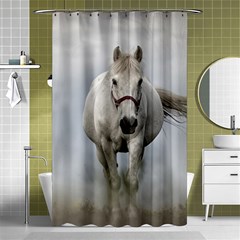Horse Mammal White Horse Animal Shower Curtain 48  X 72  (small) 