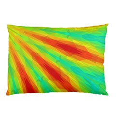 Graphic Kaleidoscope Geometric Pillow Case