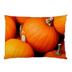Pumpkins 1 Pillow Case