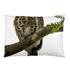Owl Bird Pillow Case (two Sides)
