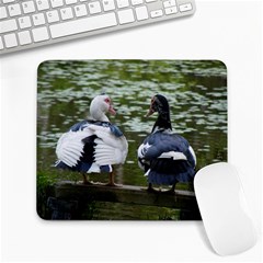 Muscovy Ducks At The Pond Large Mousepads