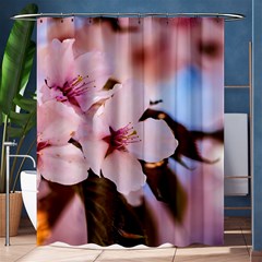 Three Sakura Flowers Shower Curtain 60  X 72  (medium) 