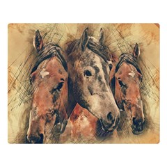 Head Horse Animal Vintage Double Sided Flano Blanket (large) 