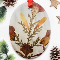 Holy Land Flowers 8 Ornament (oval)