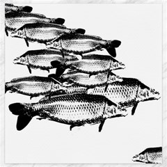 Carp Fish Canvas 20  X 20 