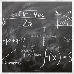 Mathematics Canvas 20  X 20 