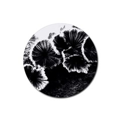 Tree Fungus High Contrast Rubber Coaster (round) 