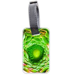 Ranunculus Blossom Bloom Nature Luggage Tag (two Sides)