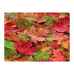 Spring Leafs Double Sided Flano Blanket (mini) 