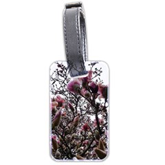 Saucer Magnolia Tree Ii Luggage Tag (two Sides)