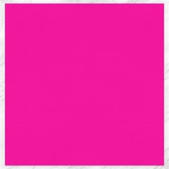 Neon Pink Color Canvas 20  X 20 