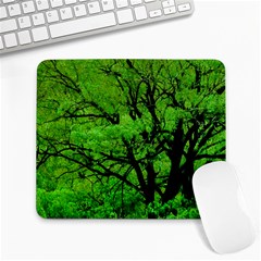 Big Trees, El Leoncito National Park, San Juan, Argentina Large Mousepads