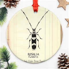 Banded Alder Borer  Ornament (round)