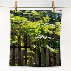 Bitter Melon Face Towel