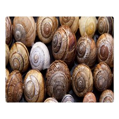 Snail Shells Pattern Arianta Arbustorum Double Sided Flano Blanket (large) 