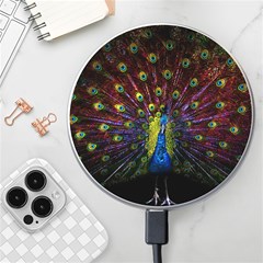 Beautiful Peacock Feather Wireless Charger