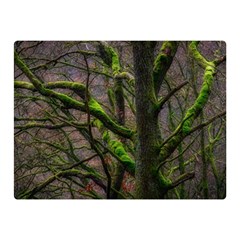 Tree Moss Forest Bark Wood Trunk Double Sided Flano Blanket (mini) 