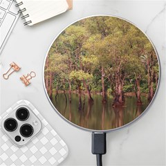 Landscape Jungle Reflection Nature Wireless Charger