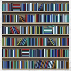 Bookshelf Canvas 20  X 20 