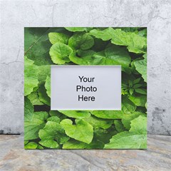Layered Plant Leaves Iphone Wallpaper White Box Photo Frame 4  X 6 